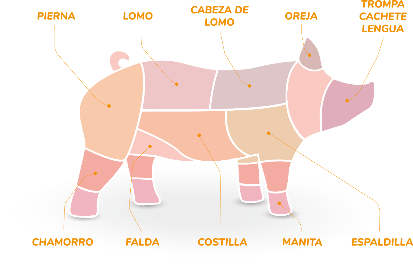 Cerdito